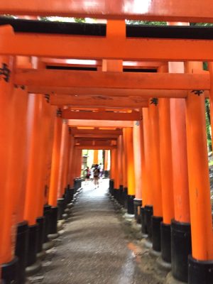 Day Trip to Inari Shrine